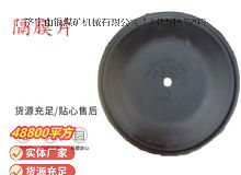點(diǎn)擊查看詳細(xì)信息<br>標(biāo)題：氣動(dòng)隔膜泵配件-隔膜片 閱讀次數(shù)：351